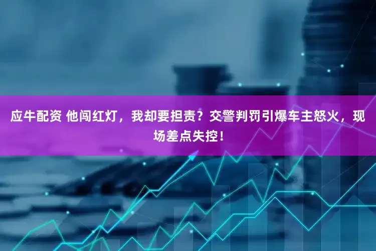 应牛配资 他闯红灯，我却要担责？交警判罚引爆车主怒火，现场差点失控！